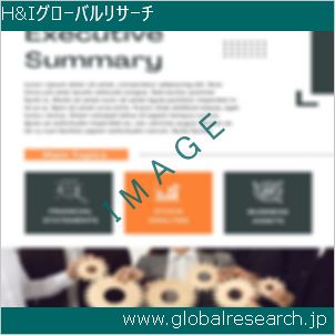 グローバルリサーチ調査レポートのイメージ